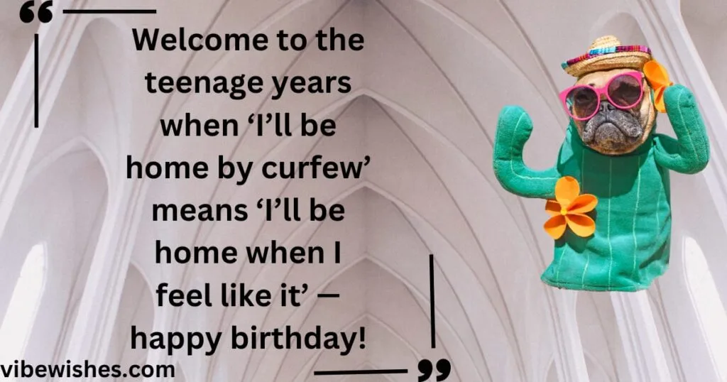 Funny Sixteenth Birthday