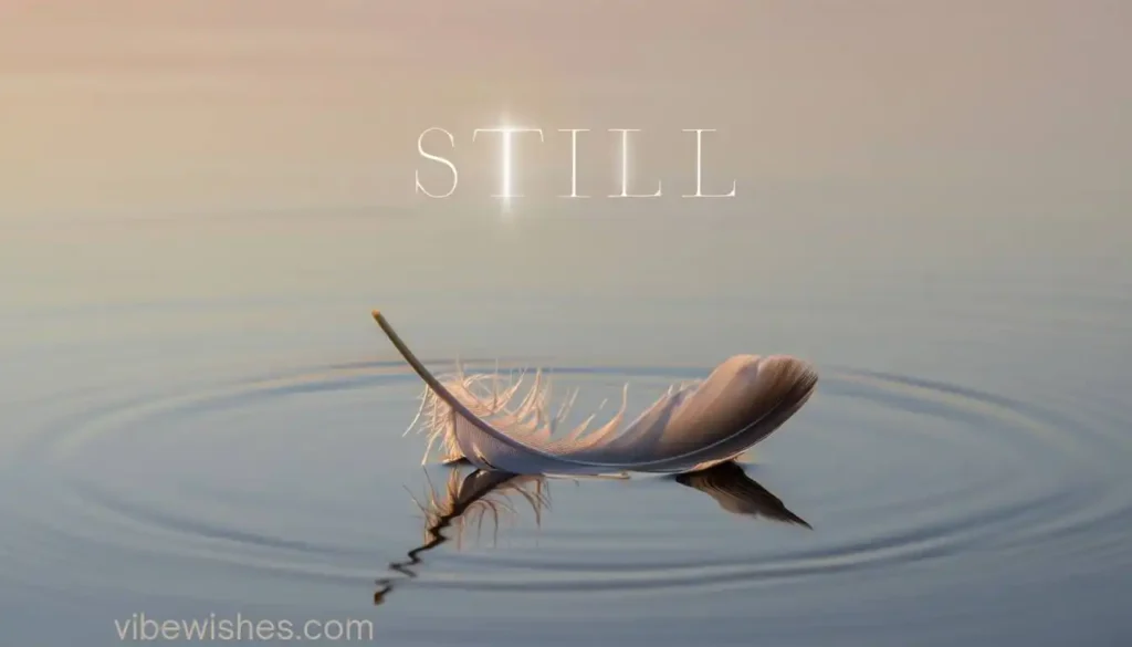 A single feather resting on calm water with the word STILL for an August 29th birthday.